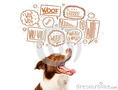 Cute dog with barking bubbles Stock Photo