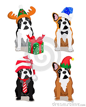 Cute dog of the Bulldog breed Vector Illustration