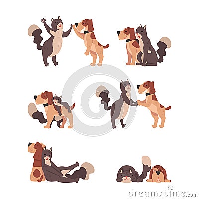 Cute dog and cat are best friends set. Funny pet animals hugging and playing together cartoon vector illustration Vector Illustration