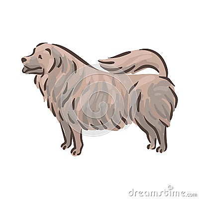 Cute dog Chow-chow breed pedigree vector illustration Vector Illustration