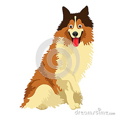 Cute dog of the Collie breed Vector Illustration