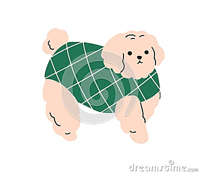 Cute dog in costume. Funny puppy wearing warm winter sweater, canine outfit. Lovely sweet little doggy, pup of Bichon Vector Illustration