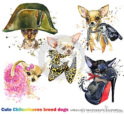 Cute dog with fashion accessories set. domestic animal watercolor illustration. Cartoon Illustration