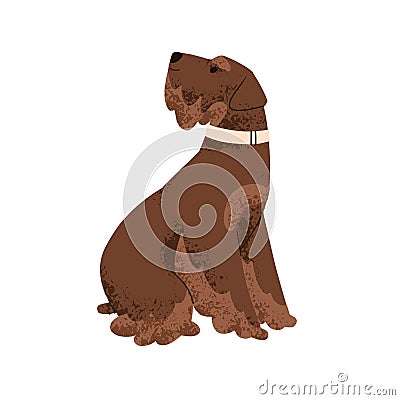 Cute dog of Miniature Schnauzer breed. Zwergschnauzer doggy. Canine animal, pet in collar. Adorable fluffy shaggy puppy Vector Illustration