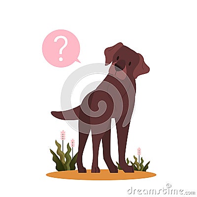 Cute dog with question mark. Purebread boston terrier with confusion Vector Illustration