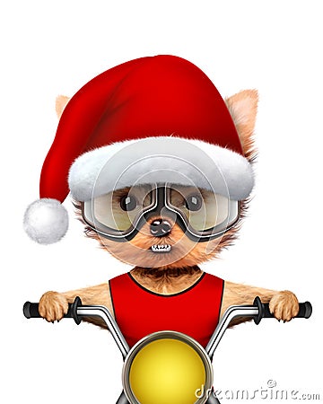 Cute Dogs Santa on a chopper. Christmas concept Cartoon Illustration