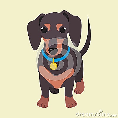 Cute domestic dog dachshund breed on the white background. Vector Illustration