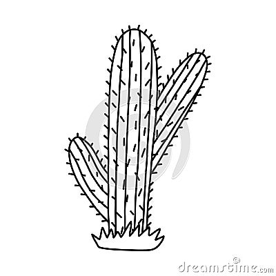 Cute doodle of saguaro cactus from Mexico or Wild West desert with hand drawn outline. Vector simple cacti flower with Vector Illustration