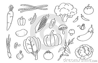 Cute doodle vegetable cartoon icons and objects. Vector Illustration