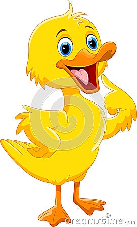 Cute duck cartoon Cartoon Illustration