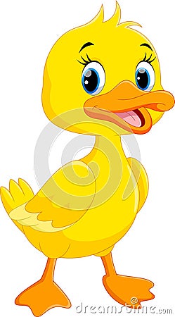 Cute duck cartoon Stock Photo