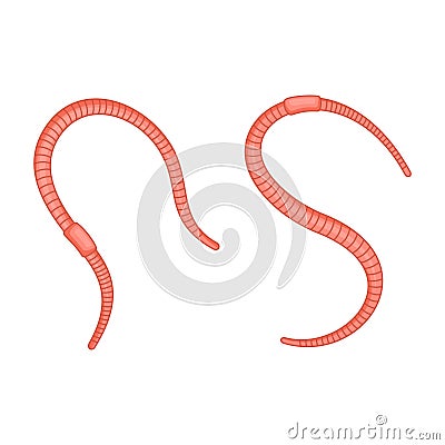 Cute Earthworm Set on White Background. Vector Vector Illustration
