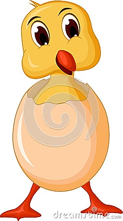 Cute Easter duckling in the broken Easter Egg Stock Photo