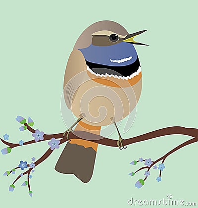 Cute egg shaped Bluethroat singing a song Vector Illustration