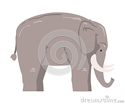 Cute Elephant African Animal, Wild Herbivore Jungle Animal Cartoon Vector Illustration Vector Illustration