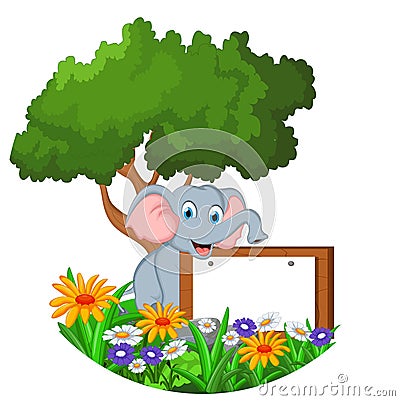 Cute elephant sitting with blank sign Stock Photo