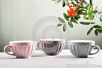Cute empty ceramic coffee cups pastel colors and rowan branch Stock Photo
