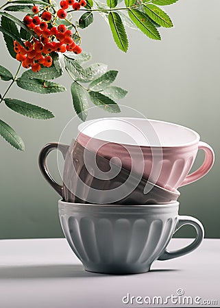 Cute empty ceramic coffee cups pastel colors and rowan branch Stock Photo