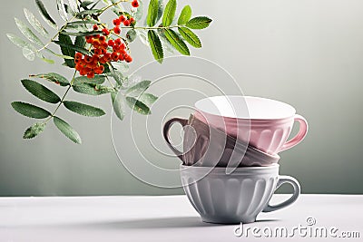 Cute empty ceramic coffee cups pastel colors and rowan branch Stock Photo