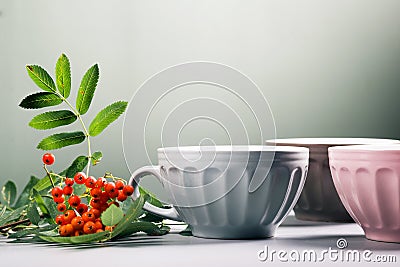 Cute empty ceramic coffee cups pastel colors and rowan branch Stock Photo