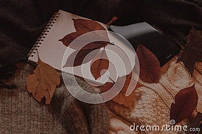 Cute empty notebook for education, mobile phone and yellow autumn leaves Stock Photo