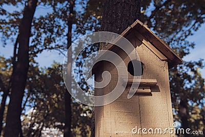 Cute empty wooden birdhouse in the park. Stock Photo