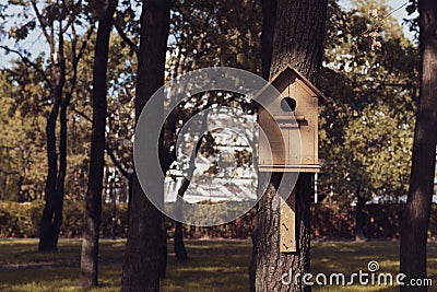 Cute empty wooden birdhouse in the park. Stock Photo