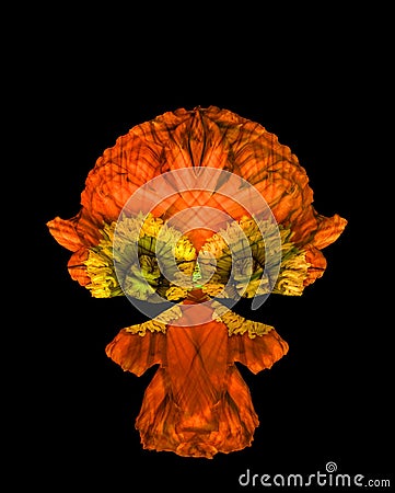 Cute fantasy character created of macros of orange yellow poppy blossoms Stock Photo