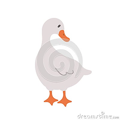 Cute farm goose. Domestic duck on white background. Agriculture bird. Village wildlife. Perfect for logo, greeting card Vector Illustration