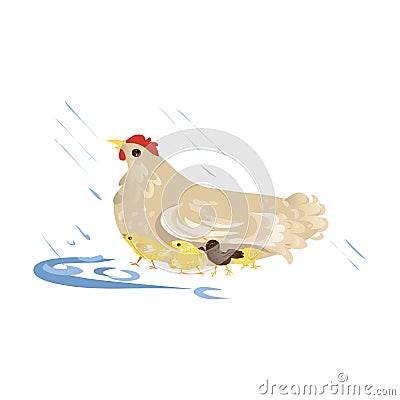 Cute farm mother chicken take care about kids Vector Illustration