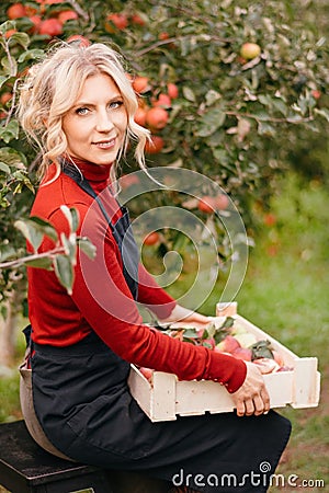 Cute farmer woman with freshly harvested apples in wooden box. Agriculture and gardening Stock Photo
