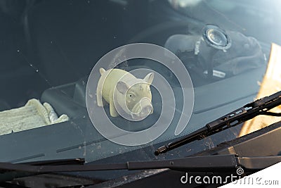 Cute fat pig toy behind a car`s windshield window Stock Photo