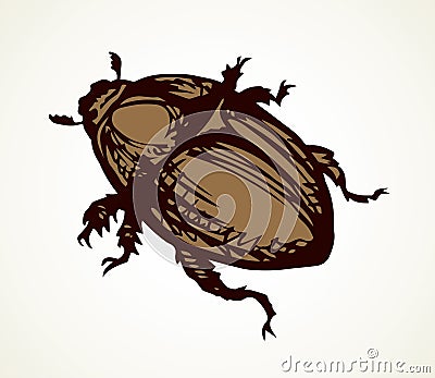 Chafer. Vector drawing of a big beetle Vector Illustration