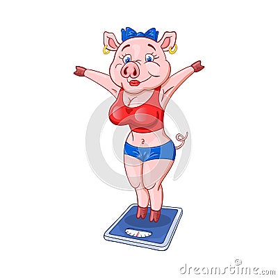 Cute female pig with pleased face in a fitness sportswear standing on floor scales Vector Illustration