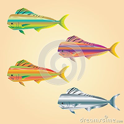 Cute fish Stock Photo
