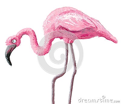 Cute flamingo Cartoon Illustration