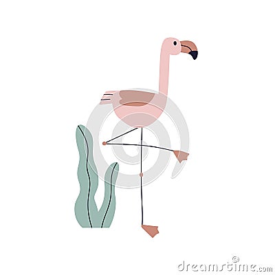 Cute flamingo, pink bird in Scandinavian style. Exotic tropical feathered fauna. Funny African animal with beak Cartoon Illustration