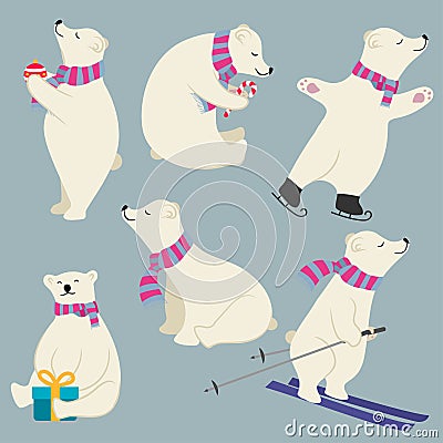 Cute flat design polare bears collection Vector Illustration