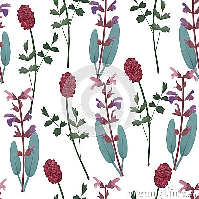 Cute floral seamless pattern with herbs. Sage, salvia officinalis and burnet, sanguisorba. Watercolor background with Stock Photo