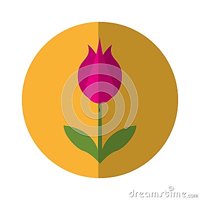 Cute flower nature icon Vector Illustration