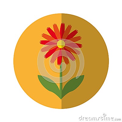 Cute flower nature icon Vector Illustration