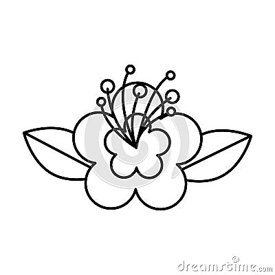 Cute flower nature icon Vector Illustration