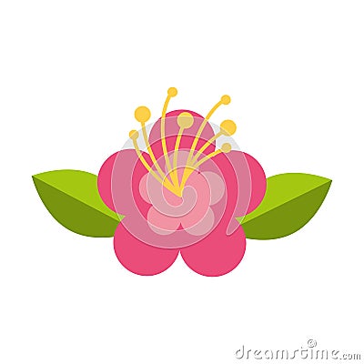 Cute flower nature icon Vector Illustration