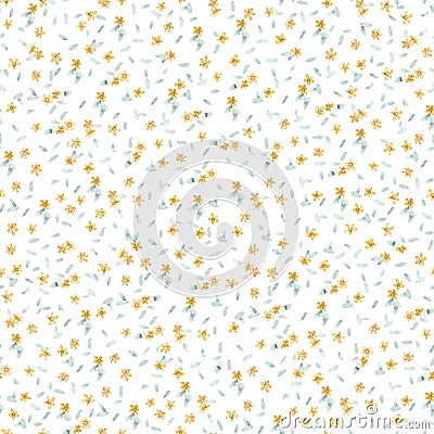 Cute flower watercolor pattern, simple wildflowers plants, yellow flowers, chamomile, grass. Illustration on white background.Good Stock Photo