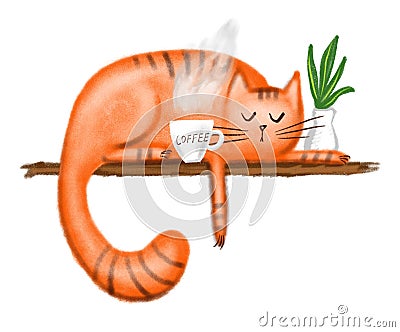Cute fluffy ginger cat on shelf a cup of coffee on white background. Cartoon Illustration