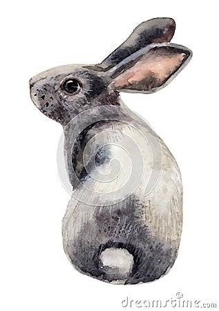 Cute fluffy gray Bunny sitting Cartoon Illustration