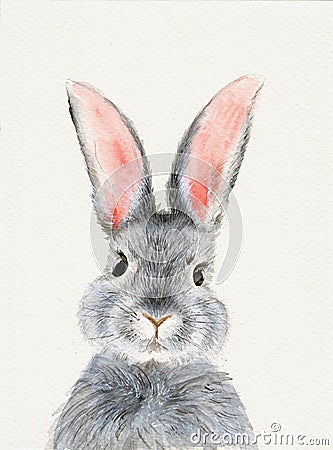 A cute fluffy grey rabbit with pink ears Cartoon Illustration