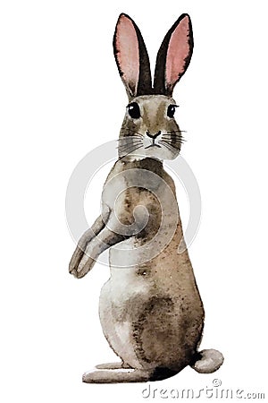 Cute fluffy grey rabbit should turn to us Cartoon Illustration
