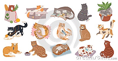 Cute fluffy kitty collection play or sleep Vector Illustration