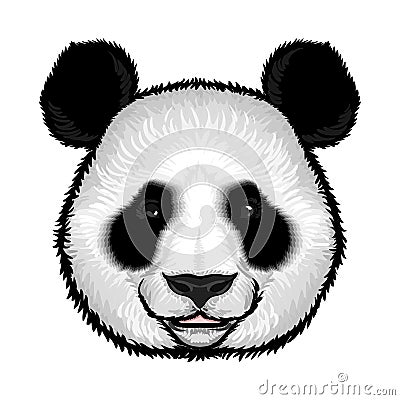 Cute Fluffy Panda Face Vector Illustration